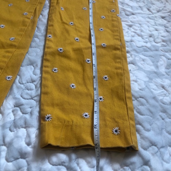 Mid rise daisy print pixie plant - Picture 2 of 8